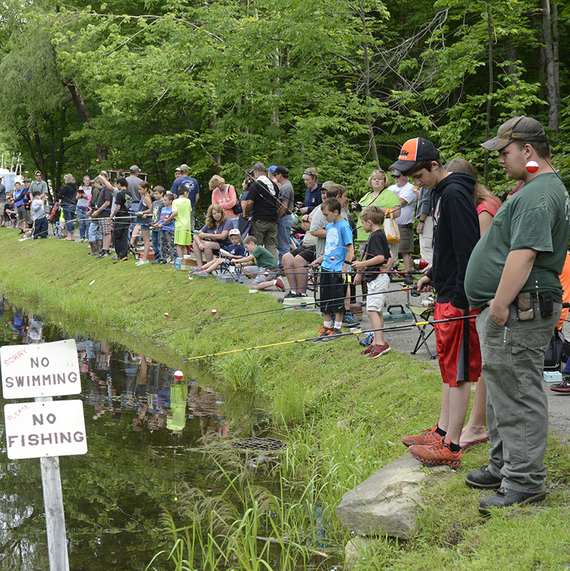 Horsehoe Acres Photo Gallery